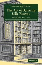Art of Rearing Silk-Worms