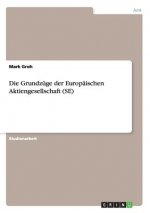 Grundzuge der Europaischen Aktiengesellschaft (SE)