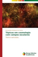 Topicos em cosmologia com campos escalares