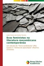 Ecos feministas na literatura mocambicana contemporanea