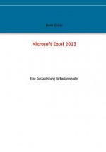Microsoft Excel 2013