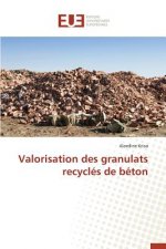 Valorisation Des Granulats Recycl s de B ton