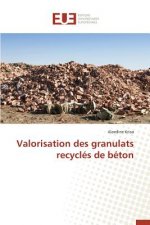 Valorisation Des Granulats Recycl s de B ton
