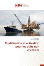 Mod lisation Et Activation Pour Les Puits Non  ruptives