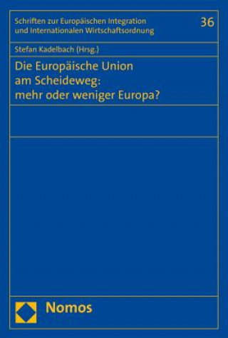 Die Europäische Union am Scheideweg: mehr oder weniger Europa?