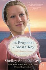 Proposal at Siesta Key