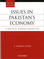 Issues in Pakistan's Economy