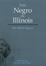 Negro in Illinois