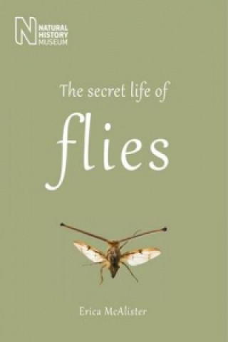 Secret Life of Flies