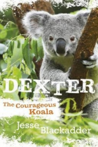 Dexter, the Courageous Koala