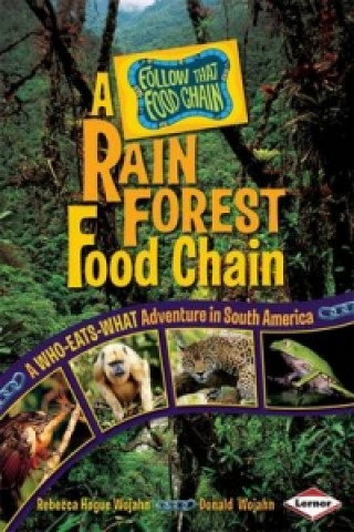 Rain Forest Food Chain