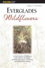 Everglades Wildflowers
