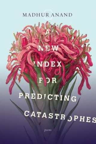 New Index For Predicting Catastrophes