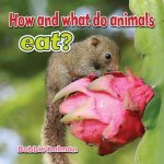 How and What do Animals Eat?