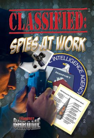 Classified Spies at Work