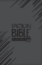 Action Bible Study Bible-ESV