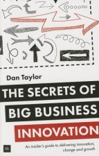 Secrets of Big Business Innovation
