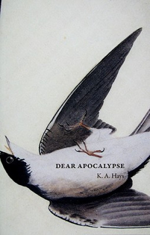 Dear Apocalypse