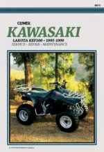 Kaw KEF300 Lakota 1995-1999