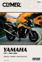 Clymer Yamaha Fz-1 2001-2004