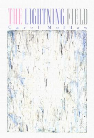 Lightning Field