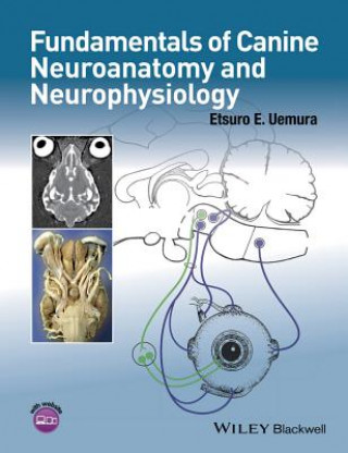 Canine Neuroanatomy