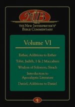 New Interpreter's Bible Commentary Volume VI