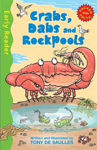Early Reader Non Fiction: Crabs, Dabs and Rock Pools