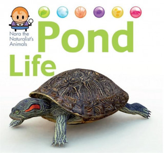 Nora the Naturalist's Animals: Pond Life