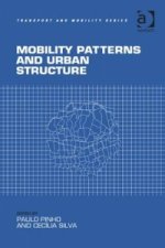 Mobility Patterns and Urban Structure