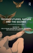 Technofutures, Nature and the Sacred