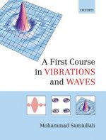 First Course in Vibrations and Waves