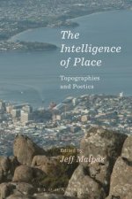 Intelligence of Place