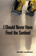 I Should Never Have Fired the Sentinel