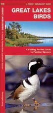Great Lakes Birds