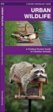 Urban Wildlife
