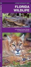 Florida Wildlife