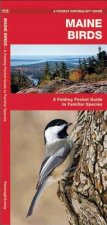 Maine Birds