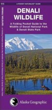 Denali Wildlife