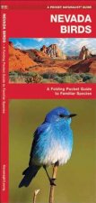 Nevada Birds