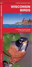 Wisconsin Birds
