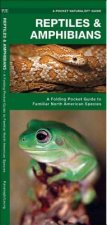 Reptiles & Amphibians