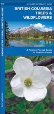 British Columbia Trees & Wildflowers