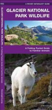 Glacier National Park Wildlife