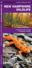 New Hampshire Wildlife