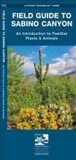Field Guide to Sabino Canyon