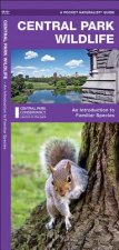 Central Park Wildlife