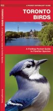 Toronto Birds