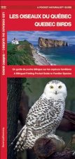 Oiseaux du Quebec/Quebec Birds