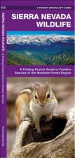 Sierra Nevada Wildlife